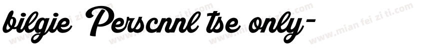 bilgie Perscnnl tse only字体转换